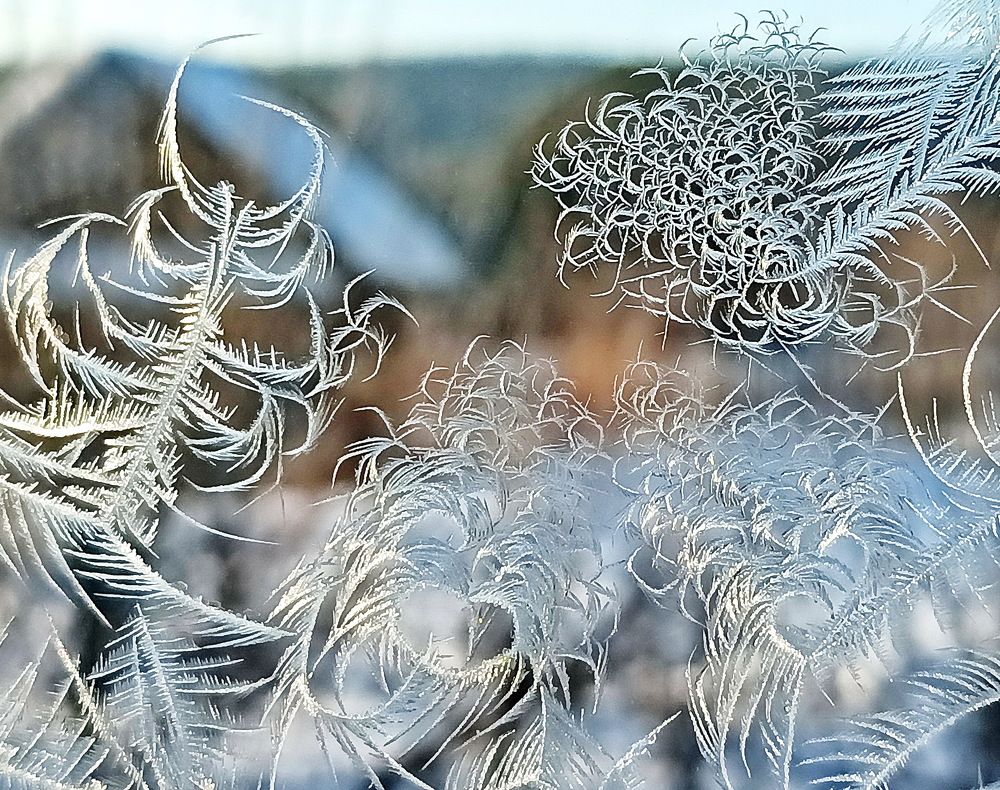 Photograph by Sergei Petrov