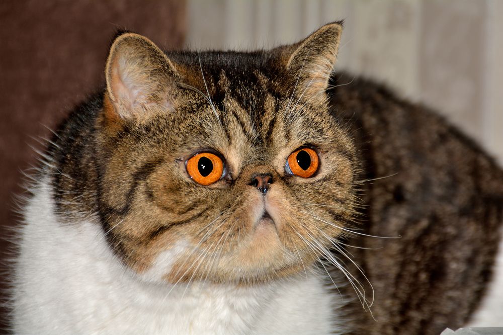 Photograph by Александр Зуев