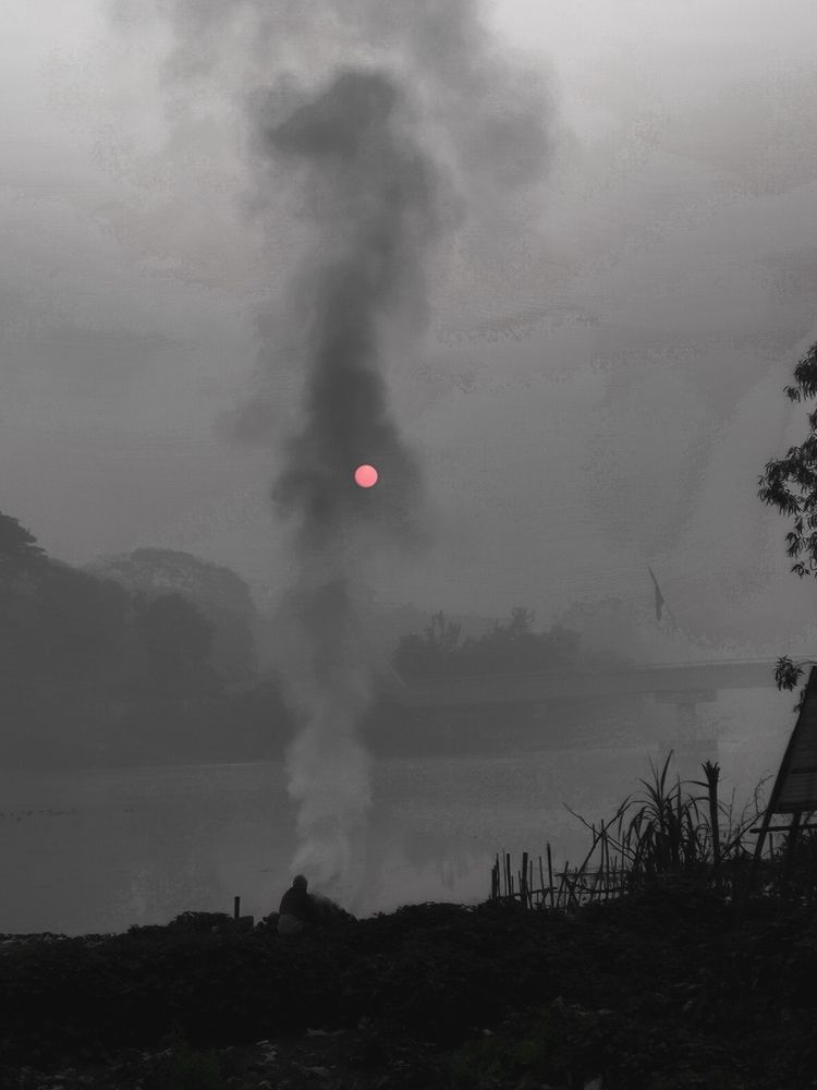 Photo #8817729