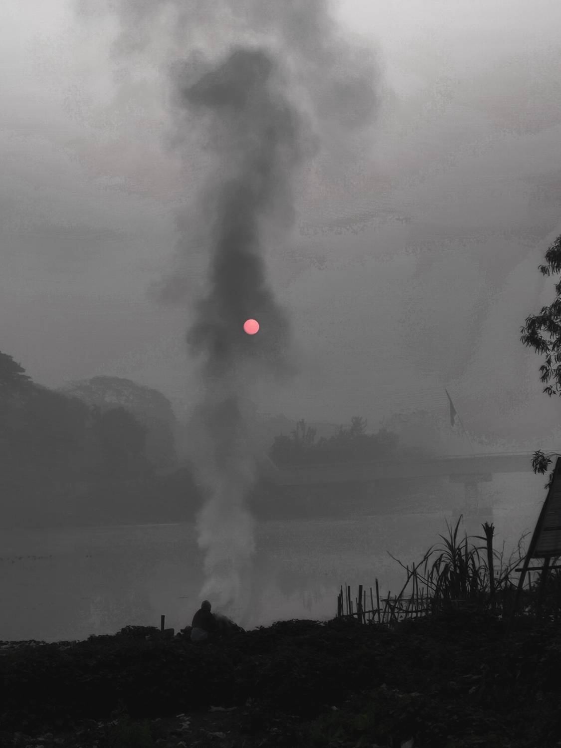 Photo #8817729