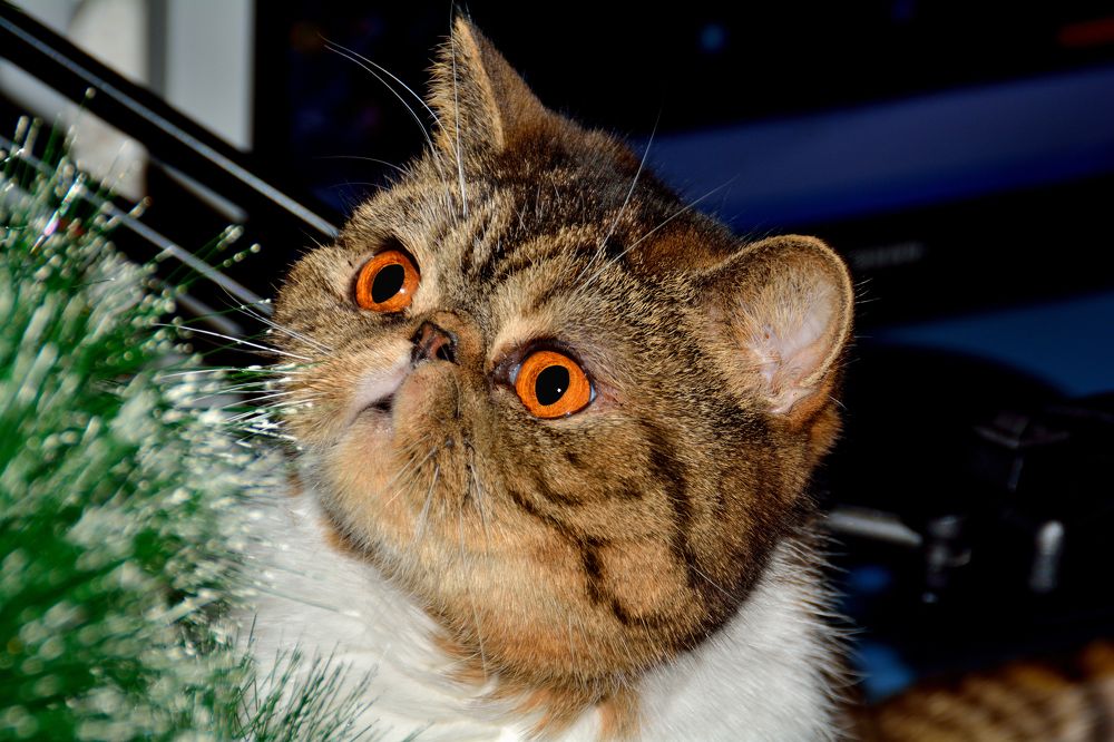 Photograph by Александр Зуев