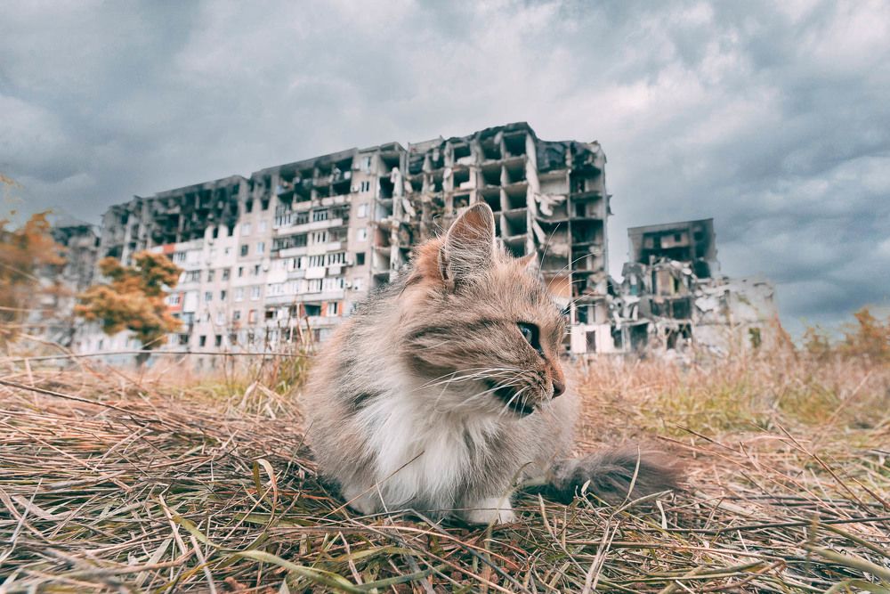 Фотография автора Гера Восьмая