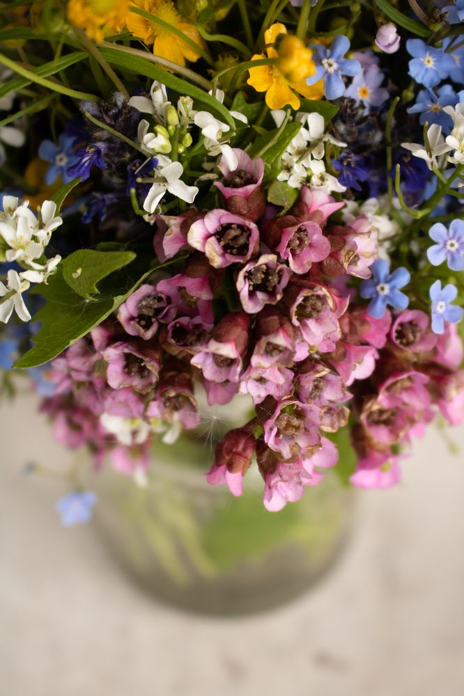 Photograph by Юлия Мухачёва