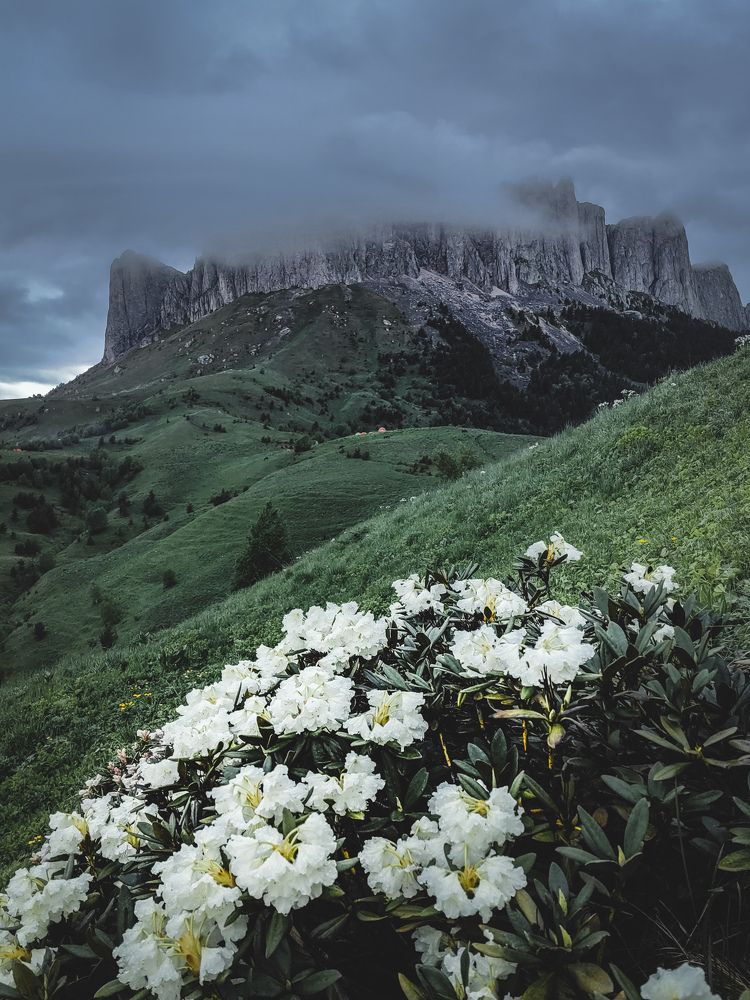 Photograph by Андрей Родионов