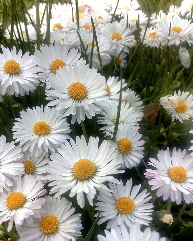 Photograph by Людмила Щуцкая