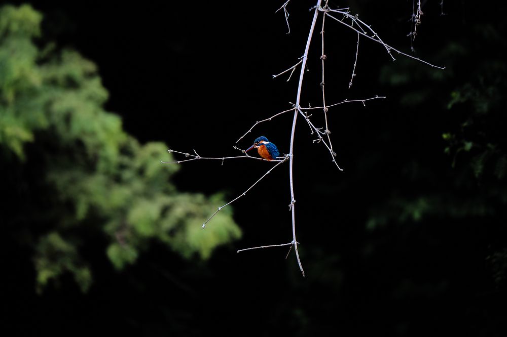 Photograph by Vijay Krishna