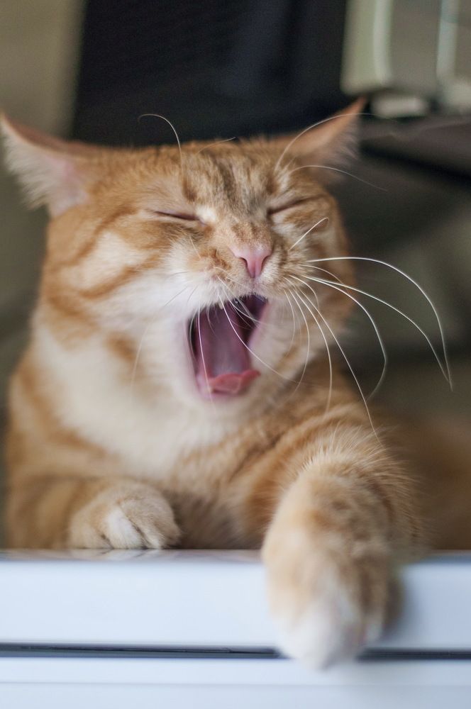 Photograph by Ольга Шуякова