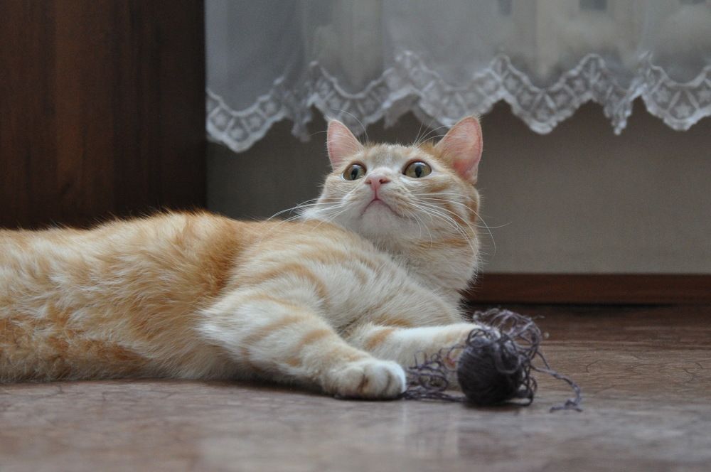 Photograph by Ольга Шуякова