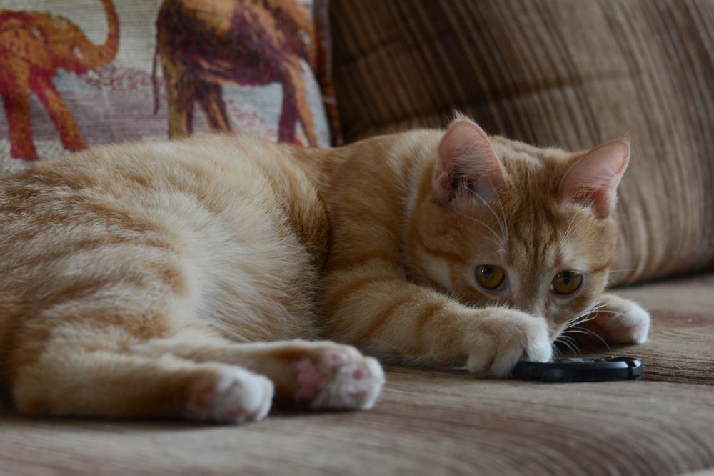 Photograph by Ольга Шуякова