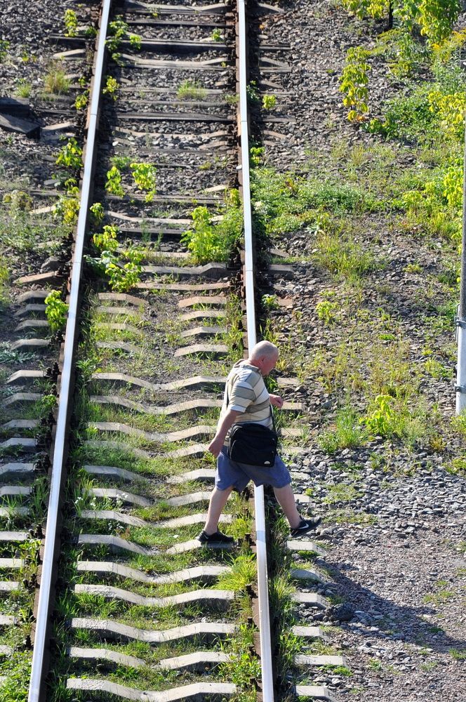 Photograph by Светлана