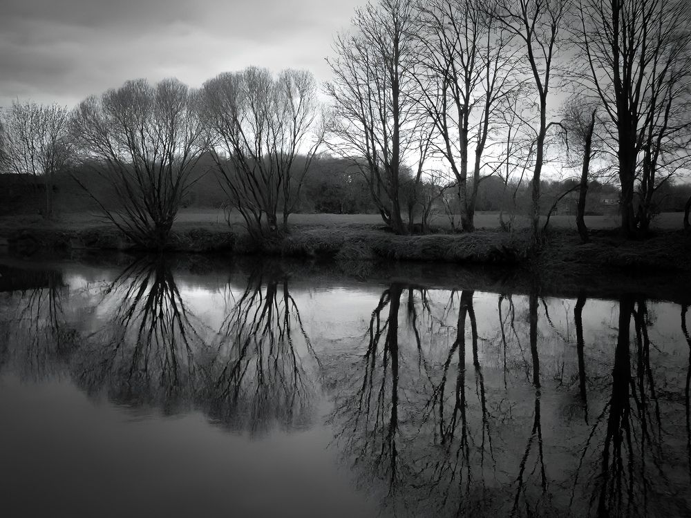 Фотография автора Michael Gault