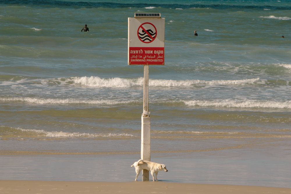 Photograph by Ekaterina