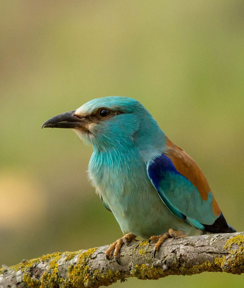 Photograph by Dyakon Zhora