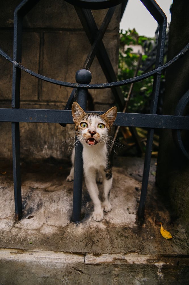 Photograph by Элизабет Гусакова