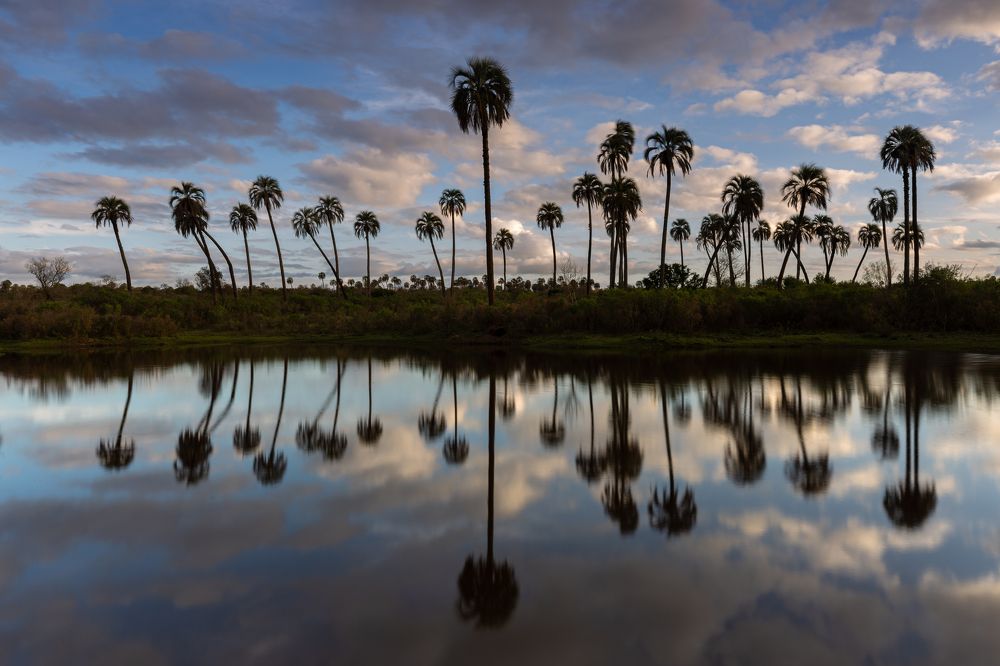 Photograph by Javier Benitez