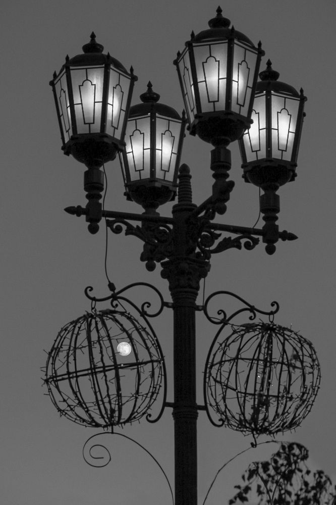 Пойманная луна