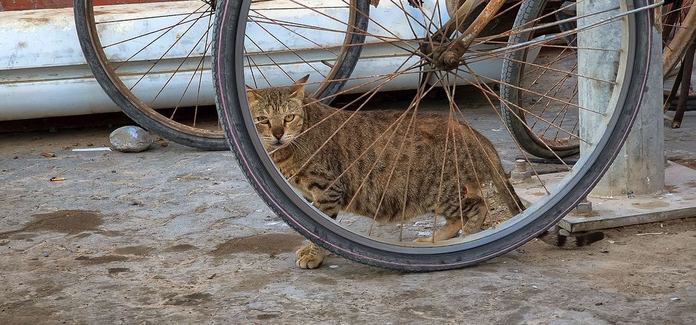 Photograph by Epp Tappel