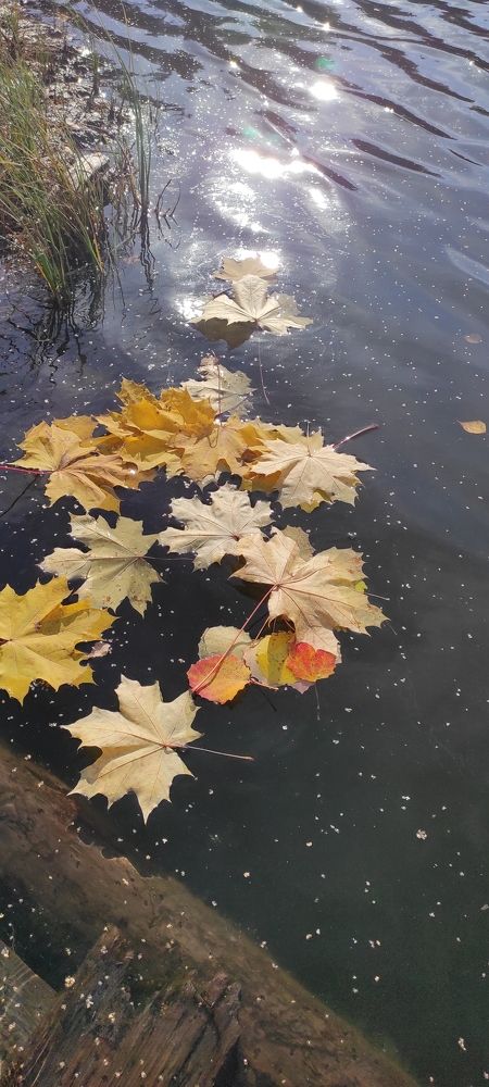 Photograph by Татьяна Кубашина