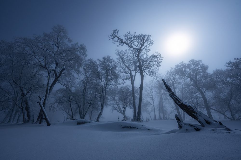 Rime under the moonlight