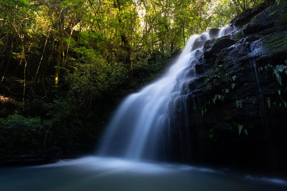 Photograph by Javier Benitez