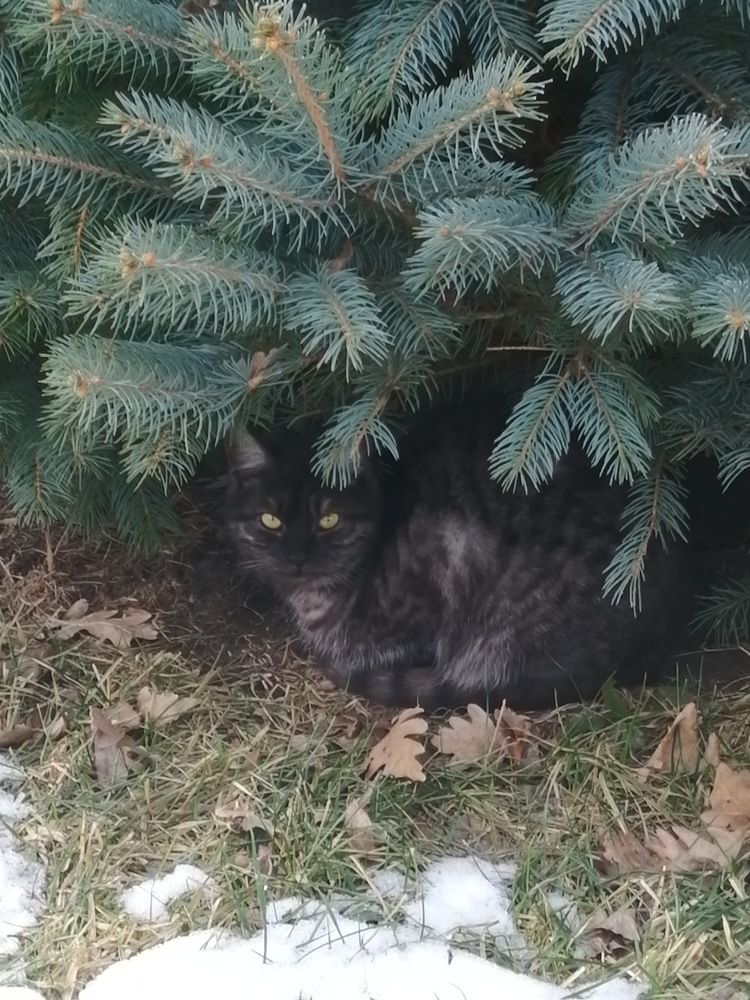 Photograph by Мила Мит