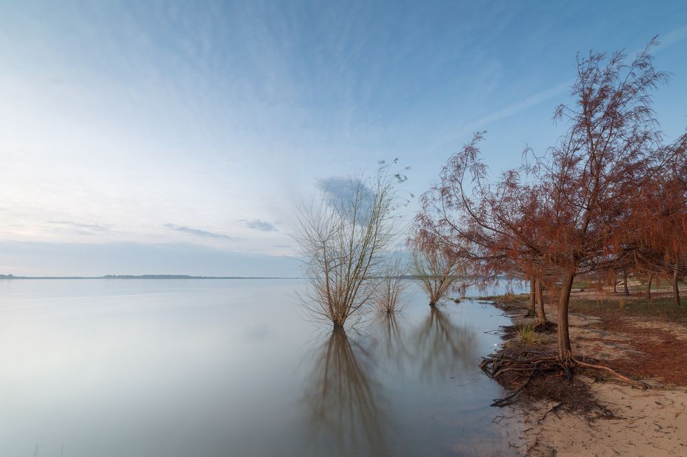 Photograph by Javier Benitez