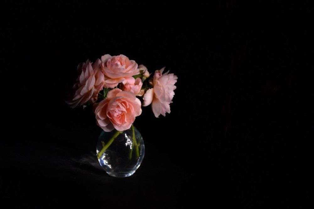 Photograph by Марина Стародуб