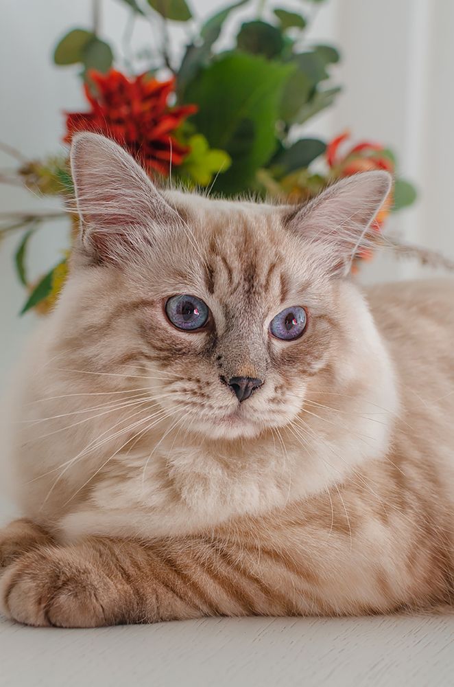 Photograph by Olga Matveeva