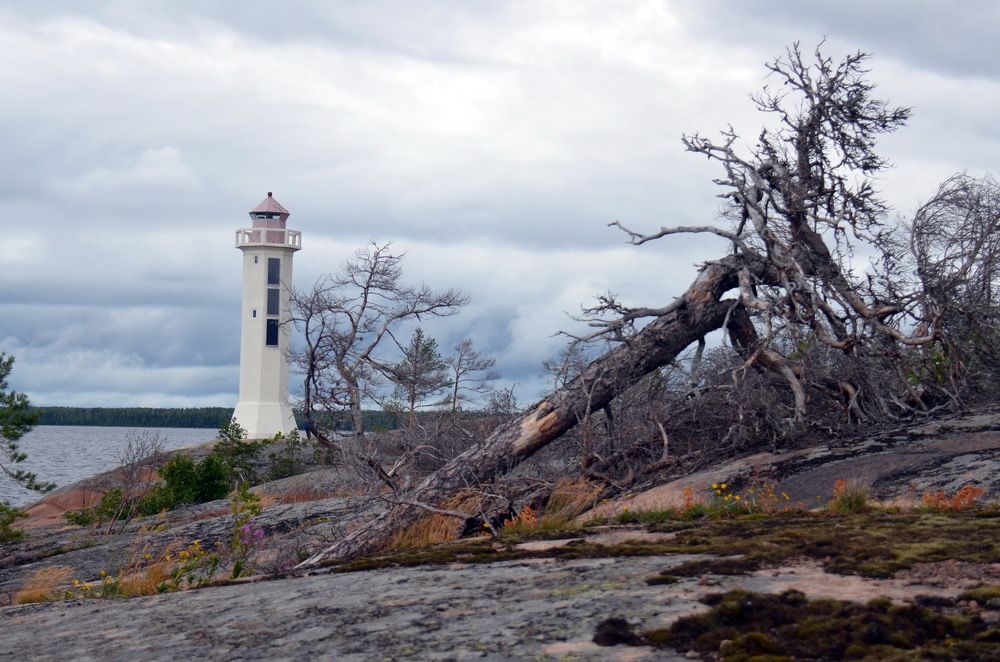 Photograph by Вера Платонова