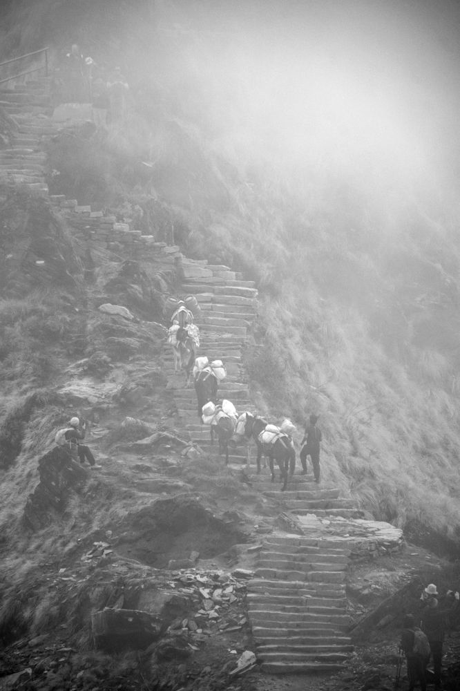 Фотография автора Linards Onzuls