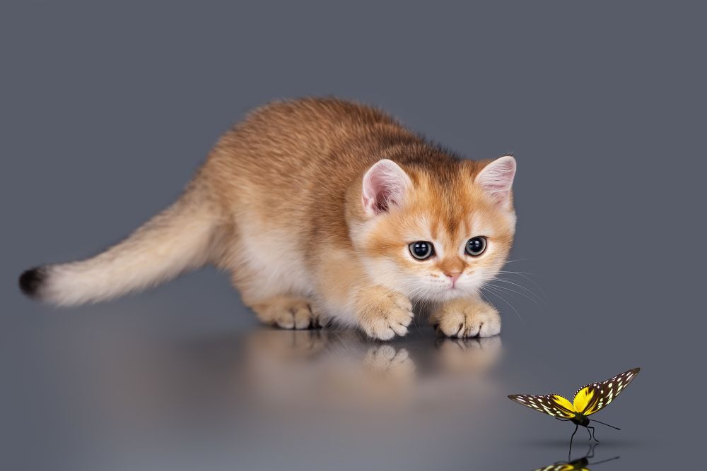 Photograph by Юлия Вербицкая