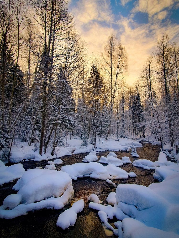 Зимняя речка.