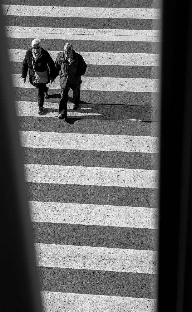 The elders in our society are the reason for our success.