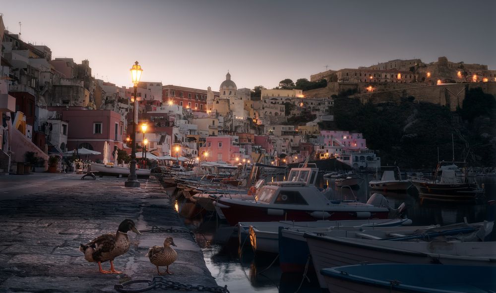 Photograph by Эрнест Вахеди