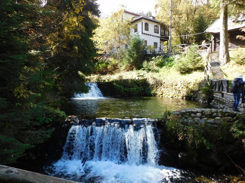 Photograph by Алмерия Монева