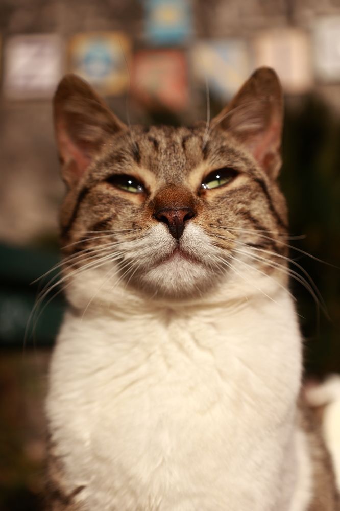 Photograph by Anna Mishina