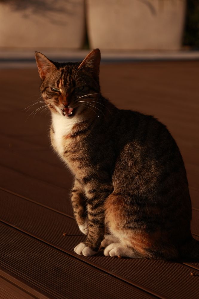 Photograph by Anna Mishina