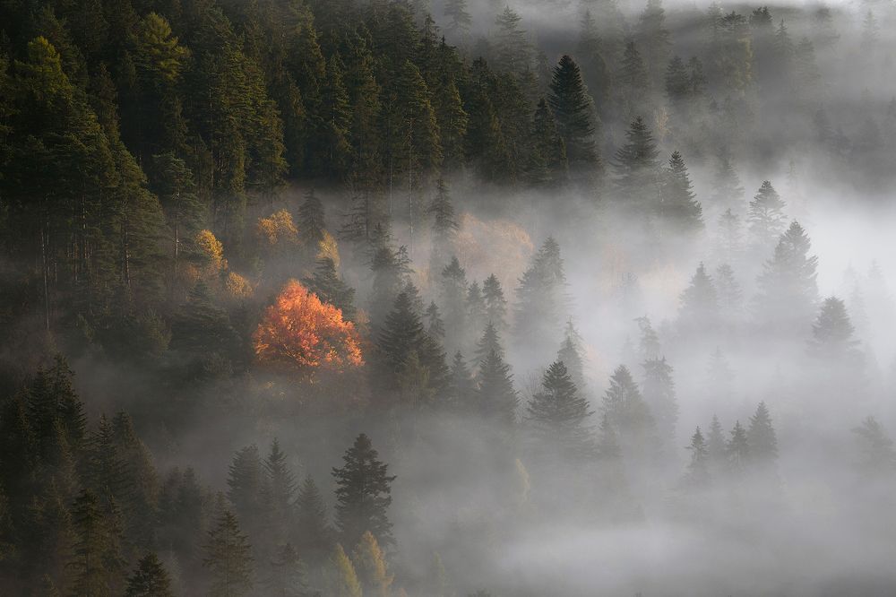 Photograph by Piroska Padar