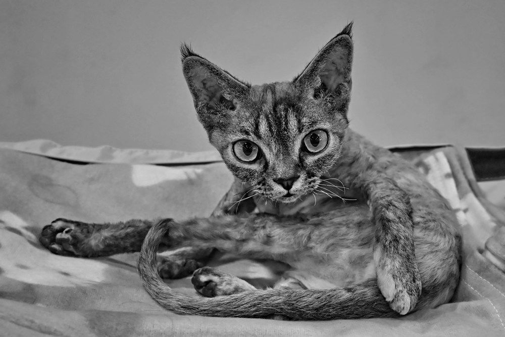 Photograph by Сергей Сёмин