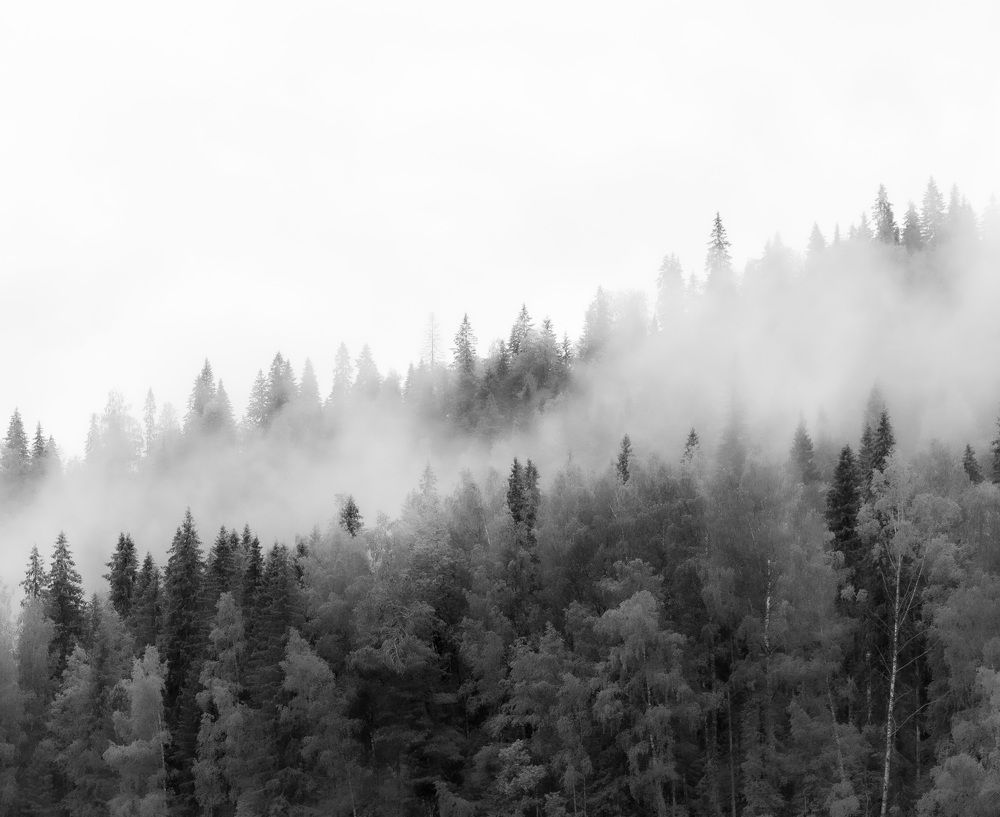 Фотография автора Рохмистрова Мария