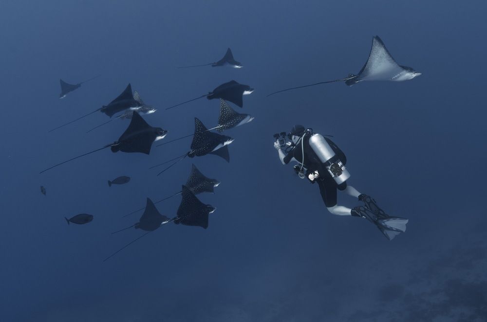 Фотография автора Димитрий Евтушик