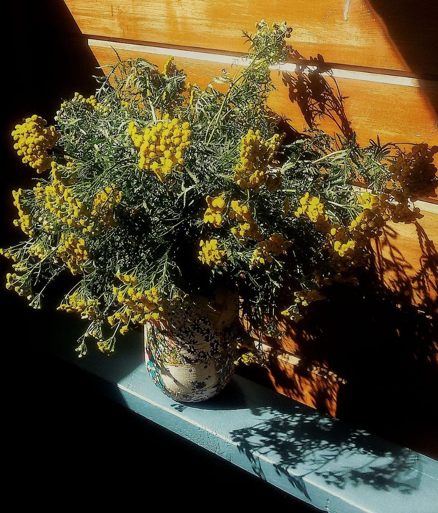 Photograph by Ольга Мартьянова