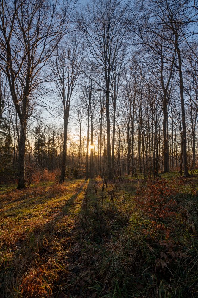 Photograph by Plamen Nikolov