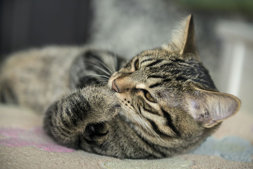 Photograph by Денис Илюхин