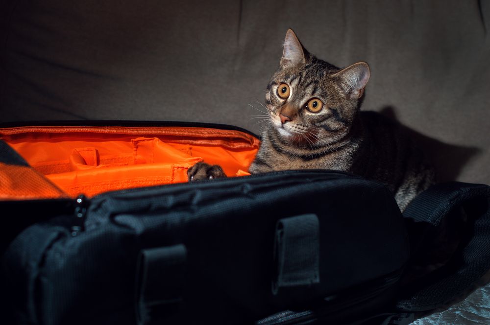 Photograph by Денис Илюхин