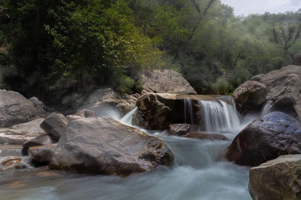 Photograph by Javier Benitez