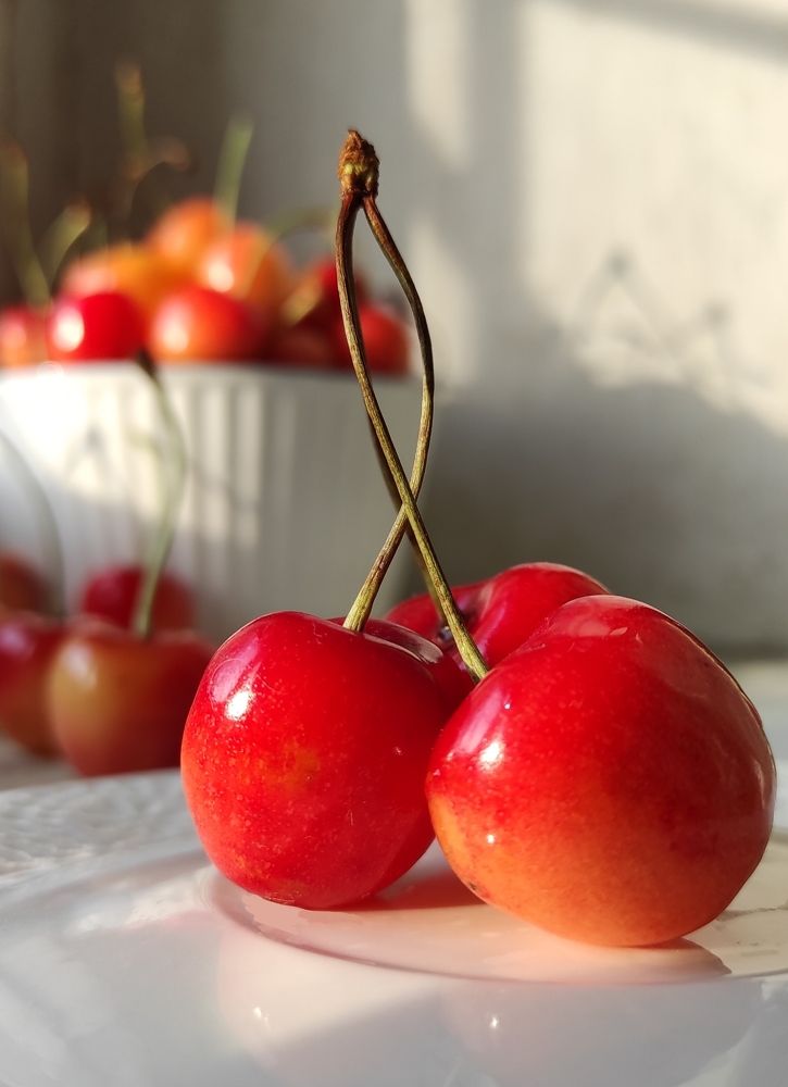 Photograph by Helen Ka