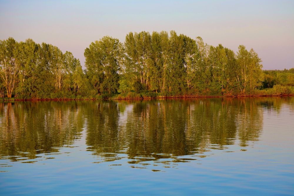 Photograph by Сергей Плужник