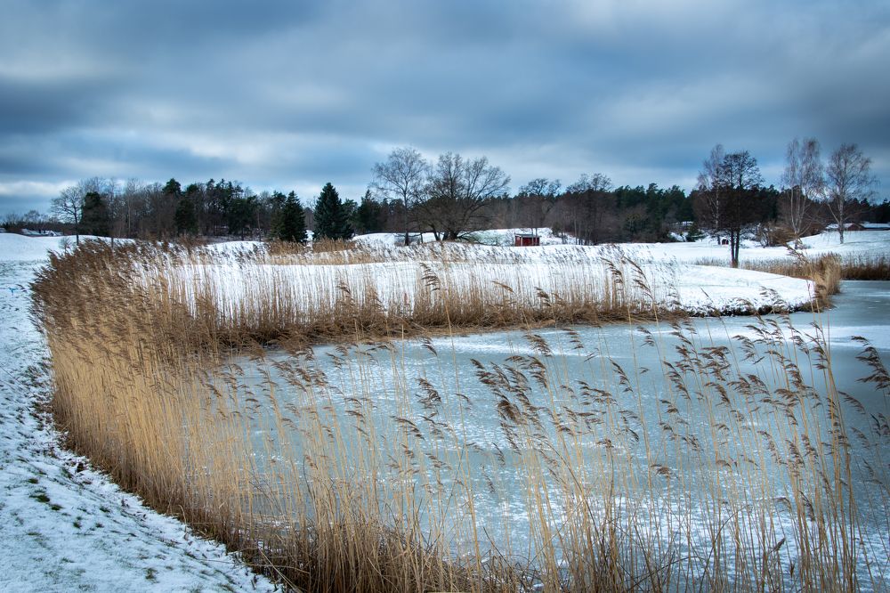 Photograph by Svetlana Jegorova