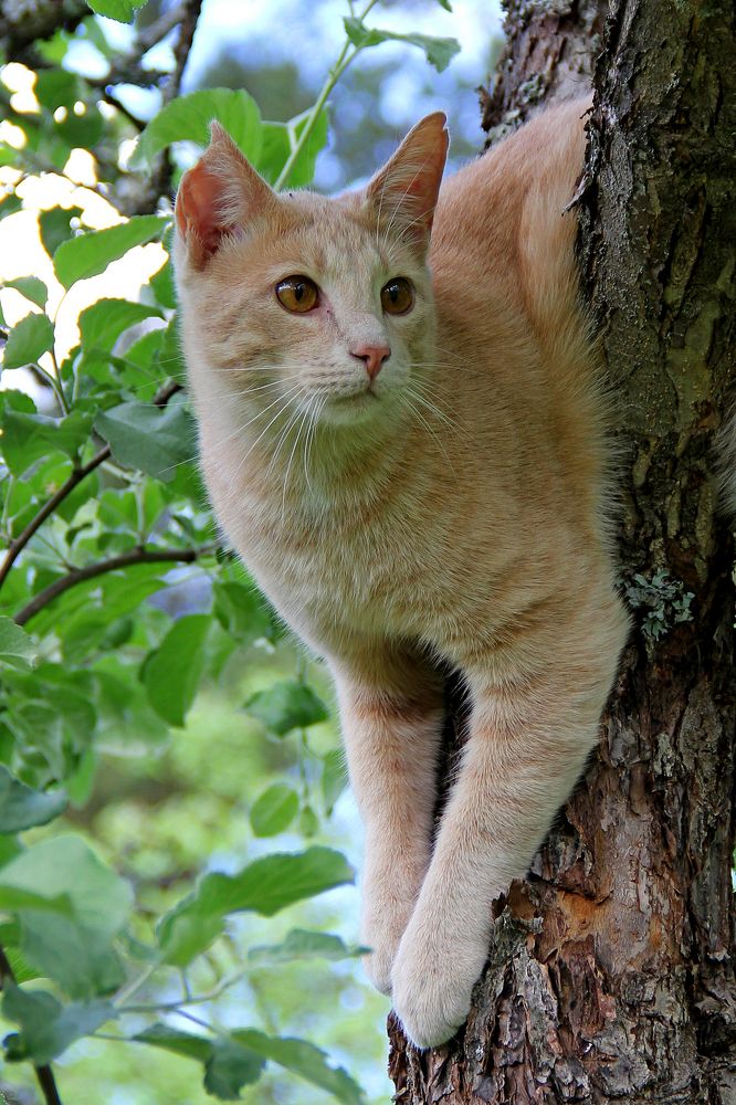 Photograph by Igor Makarov